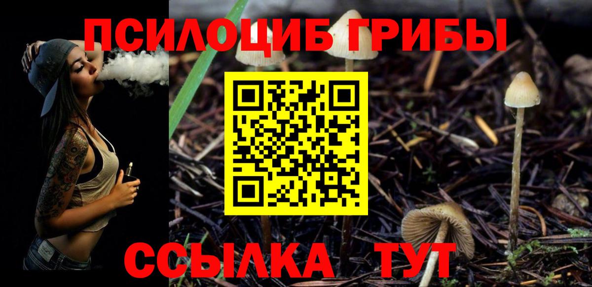 Истра  Псилоцибиновые грибы Cubensis  Псилоцибиновые грибы ЛСД  Вход с VPN 